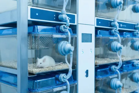 新药研发中心SPF级啮齿类实验动物屏障系统工程