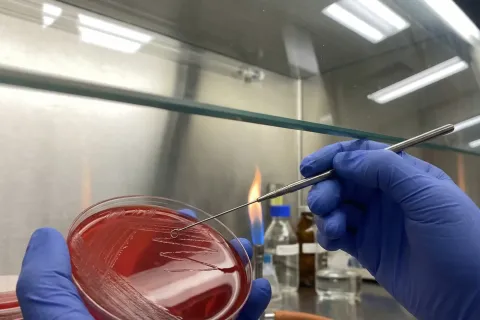 制药厂QC微生物限度与无菌检查实验室净化工程（GMP标准）