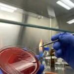 制药厂QC微生物限度与无菌检查实验室净化工程(GMP标准)