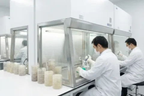 微生物无菌检测实验室超净操作环境展示